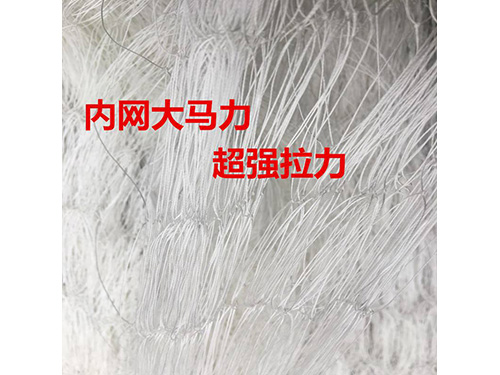 �������~�W(w��ng)