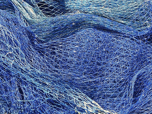 �����W(w��ng)